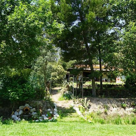 Quinta Do Vale Grande Villa Albergaria-a-Velha Exterior photo