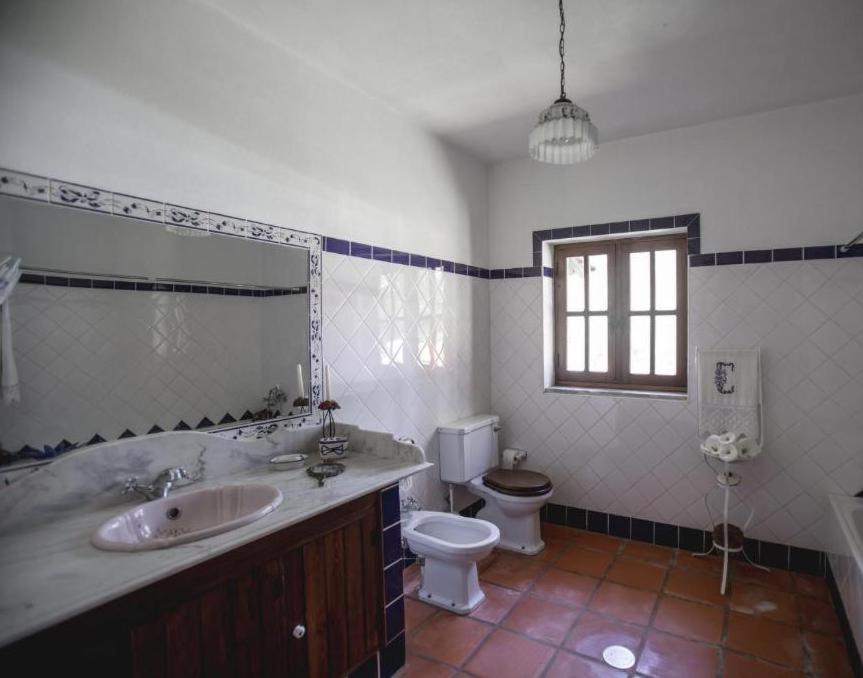Quinta Do Vale Grande Villa Albergaria-a-Velha Exterior photo
