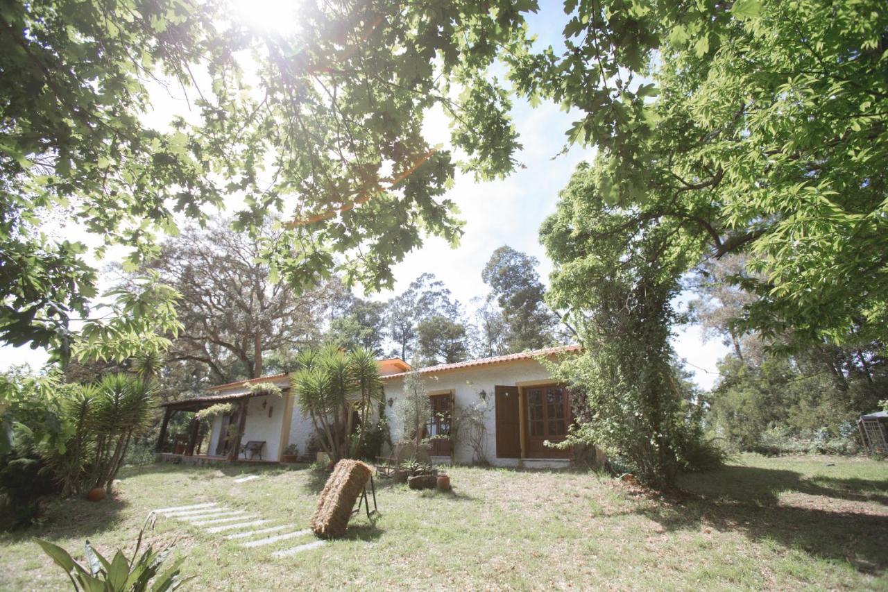 Quinta Do Vale Grande Villa Albergaria-a-Velha Exterior photo